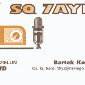 Qsl31